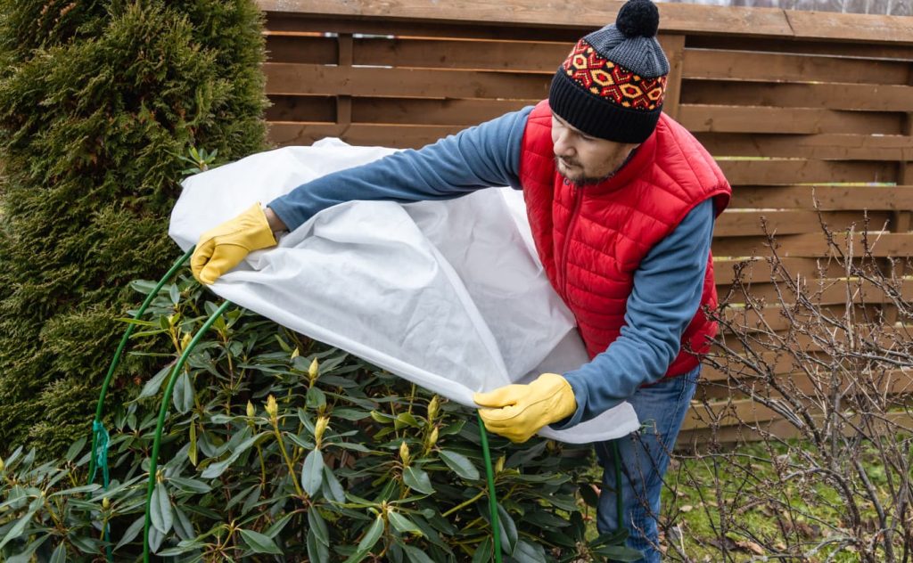 Frostbeskyttelse af planter med fiberdug – beskyt haven mod vinterkulde