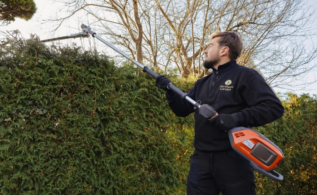 Professionel hækklipning med hæktrimmer – Northern Garden