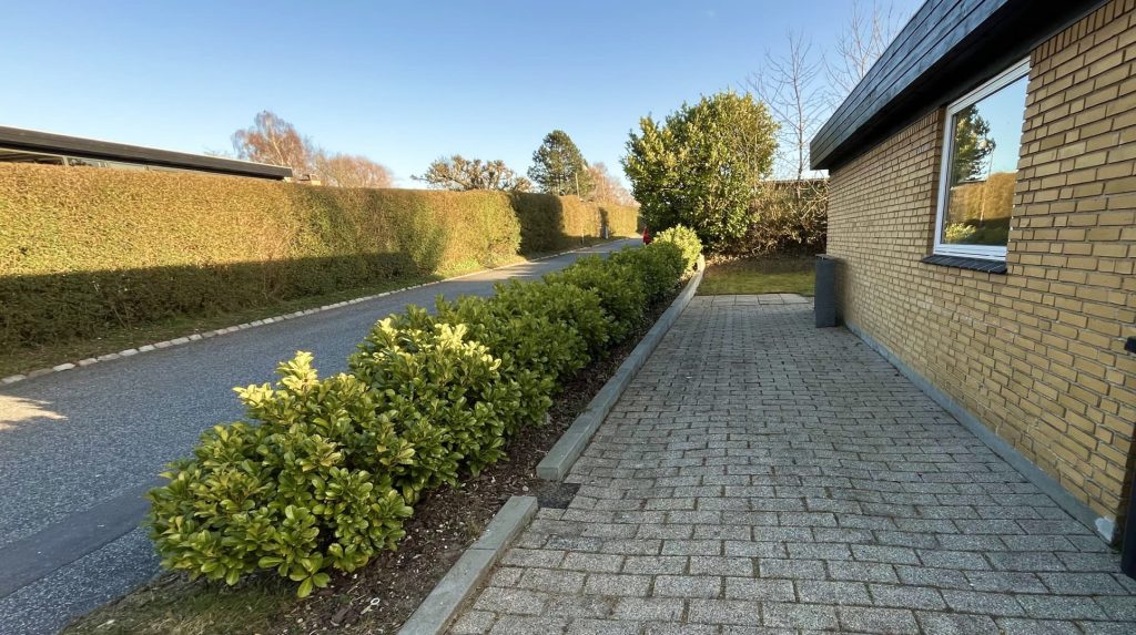 Velklippet grøn hæk langs villavej – regler for hækklipning i Danmark
